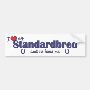 Pegatina Para Coche Amo mi Standardbred (el caballo masculino)