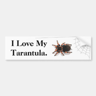Pegatina Para Coche Amo mi Tarantula