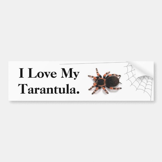 Pegatina Para Coche Amo mi Tarantula (Frente)