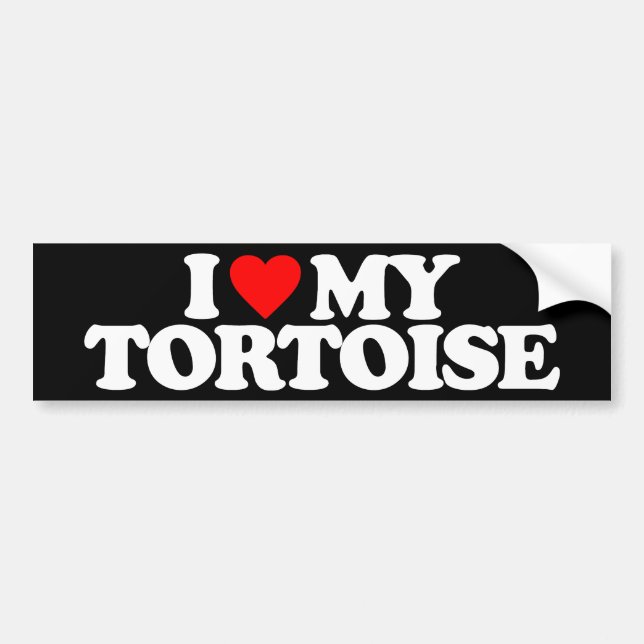 PEGATINA PARA COCHE AMO MI TORTUGA (Frente)
