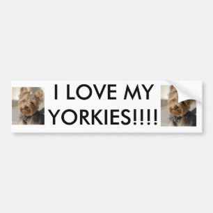 PEGATINA PARA COCHE ¡AMO MI YORKIES!!!!