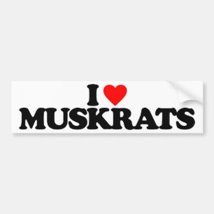 PEGATINA PARA COCHE AMO MUSKRATS