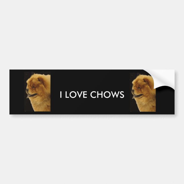 PEGATINA PARA COCHE AMO PERROS CHINOS (Frente)