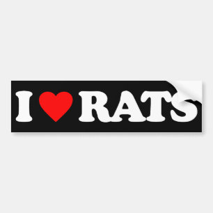 PEGATINA PARA COCHE AMO RATAS