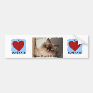 PEGATINA PARA COCHE AMO REALMENTE GATOS