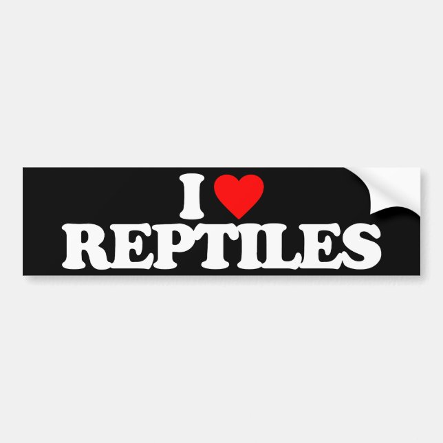 PEGATINA PARA COCHE AMO REPTILES (Frente)