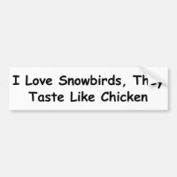 Amo Snowbirds, ellos pruebo como pollo