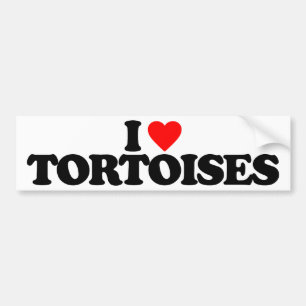 PEGATINA PARA COCHE AMO TORTUGAS