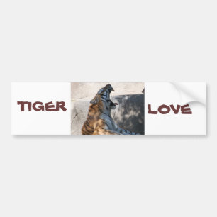 Pegatina Para Coche Amor a los tigres