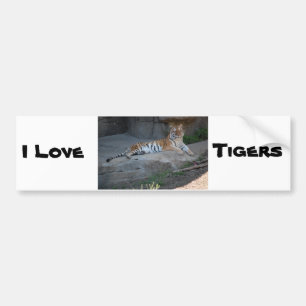 Pegatina Para Coche Amor a los tigres de Bengala