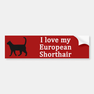 Pegatina Para Coche Amor al Shorthair europeo