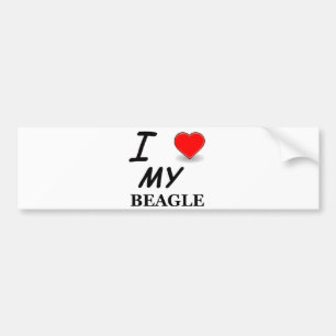Pegatina Para Coche amor beagle