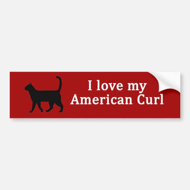 Pegatina Para Coche Amor curl americano (Frente)