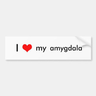 Pegatina Para Coche Amor del cerebro