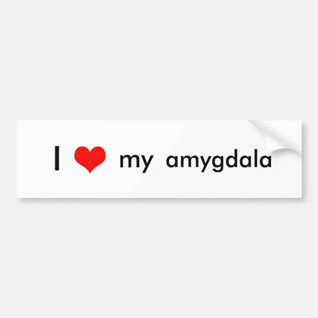 Pegatina Para Coche Amor del cerebro (Frente)