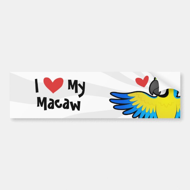Pegatina Para Coche Amor del Macaw/del loro (Frente)