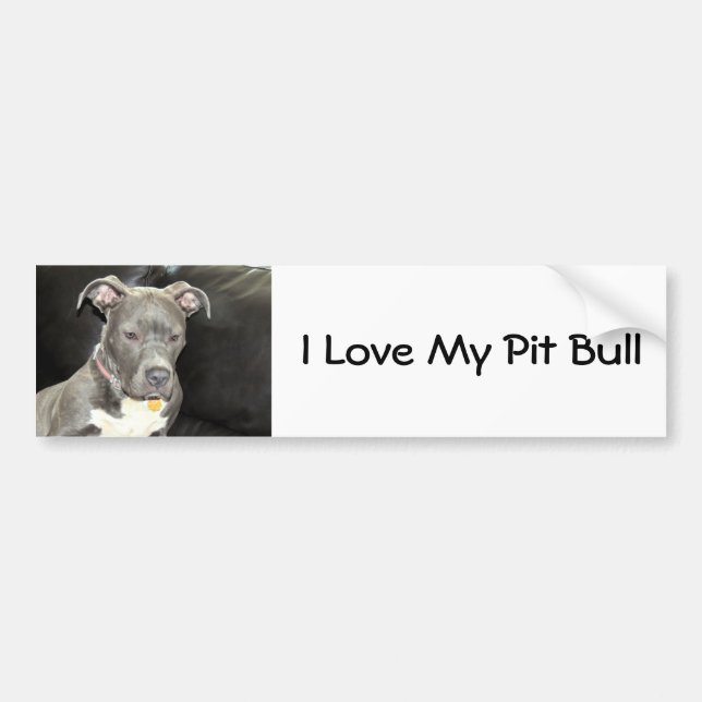Pegatina Para Coche Amor del pitbull (Frente)