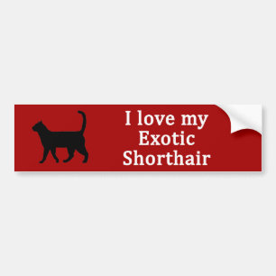 Pegatina Para Coche Amor exótico de Shorthair