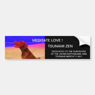 PEGATINA PARA COCHE ¡AMOR MEDITATO! TSUNAMI ZEN