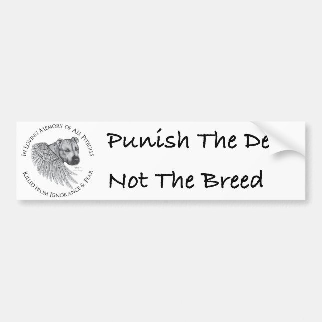 Pegatina Para Coche Ángel de Zeus (Frente)