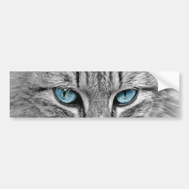 Pegatina Para Coche Animal de mascota azul de los ojos verdes del gato (Frente)