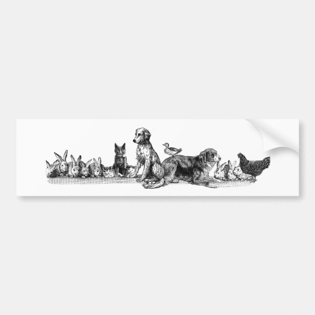 Pegatina Para Coche Animales rescatados (Frente)