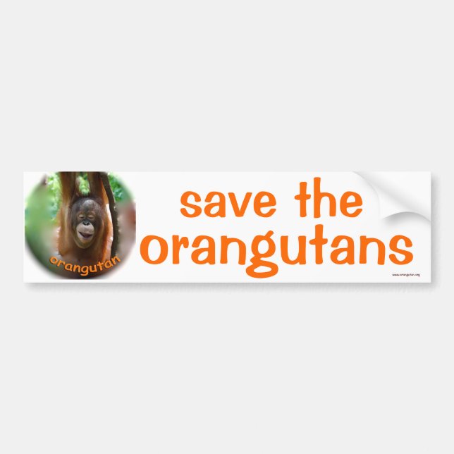 Pegatina Para Coche Animales salvajes: ahorre el orangután (Frente)