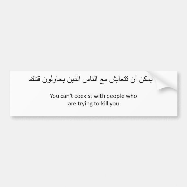 Pegatina Para Coche Anti-Coexista (Frente)