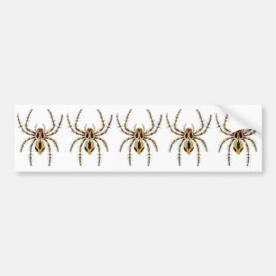 Pegatina Para Coche Araña del lince