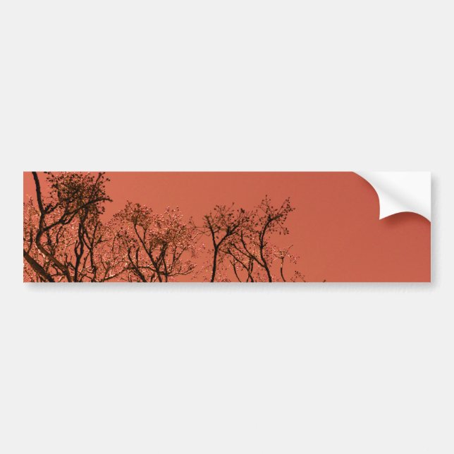 Pegatina Para Coche Árbol con el cielo rojo (Frente)