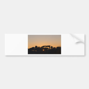 Pegatina Para Coche Árboles al atardecer con contraluz en Roma