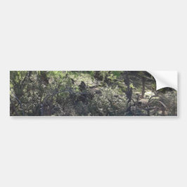 Pegatina Para Coche Árboles salvajes