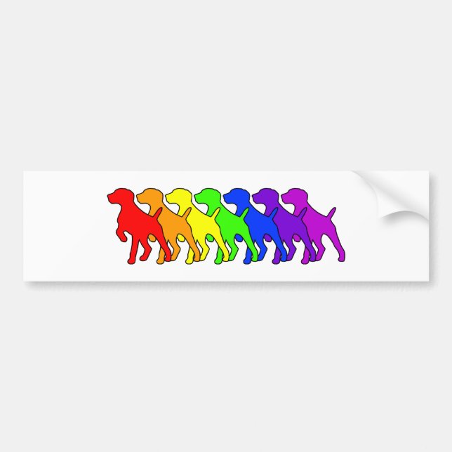 Pegatina Para Coche Arco iris GSP (Frente)