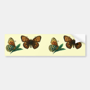 Pegatina Para Coche Argynnis aglaja