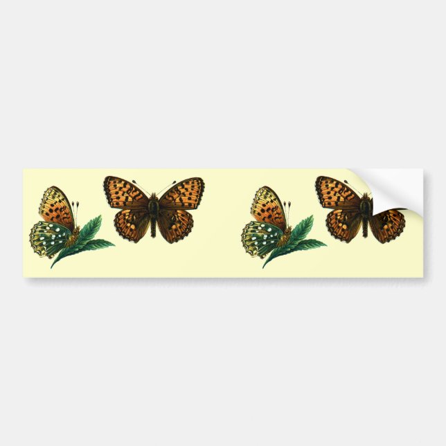 Pegatina Para Coche Argynnis aglaja (Frente)