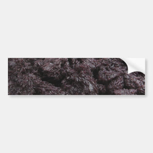 Pegatina Para Coche Arroz pegajoso negro lao tailandés [presa Khao Ni