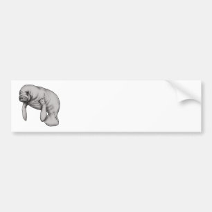 Pegatina Para Coche arte del manatee