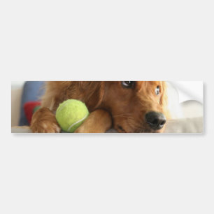 Pegatina Para Coche ASPCA-Perro