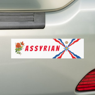 PEGATINA PARA COCHE ASSIRIO