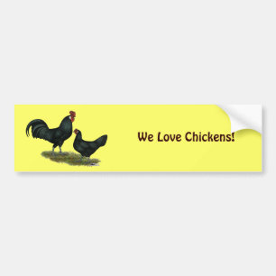 Pegatina Para Coche Augsburger Chickens