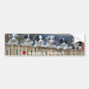 Pegatina Para Coche Autoadhesivo transporta a “Australian Shepherd “