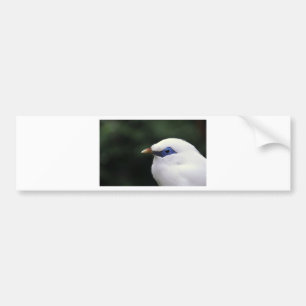 Pegatina Para Coche Aves
