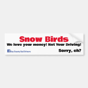 Pegatina Para Coche Aves de nieve - Amamos tu dinero