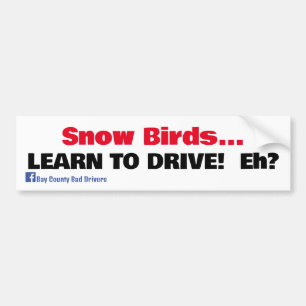 Pegatina Para Coche Aves de nieve - Aprende a conducir