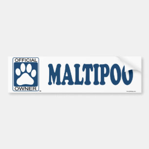 Pegatina Para Coche Azul de Maltipoo