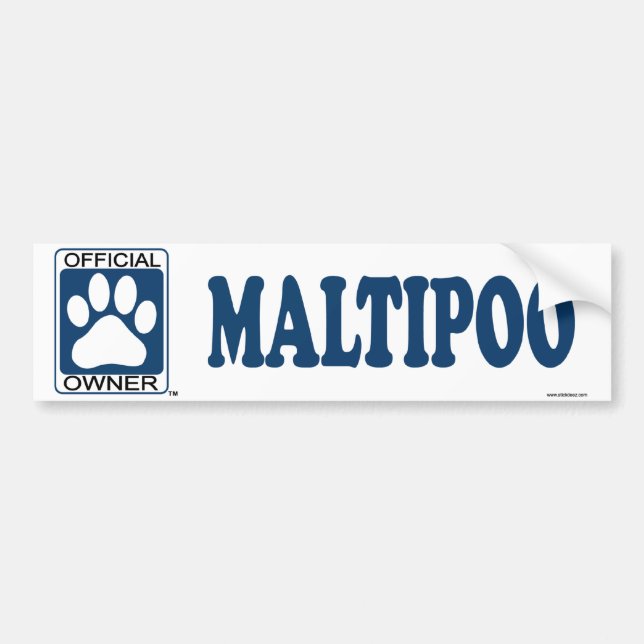 Pegatina Para Coche Azul de Maltipoo (Frente)