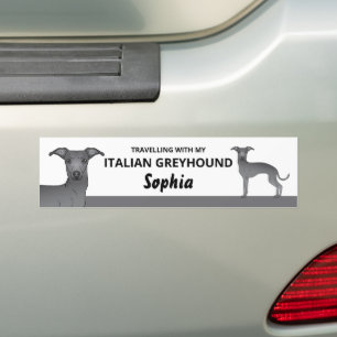 Pegatina Para Coche Azul - Viajando con mi perro galgo italiano