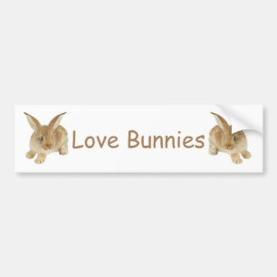 PEGATINA PARA COCHE BABY BUNNY