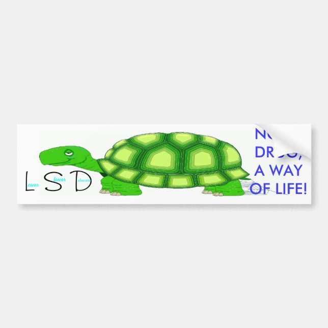 Pegatina Para Coche Baje Delaware más lento (Frente)