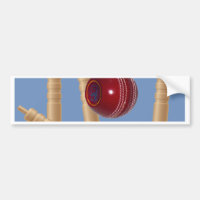 Balas Y Trozos De Cricket,